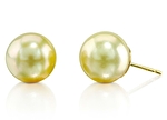13mm Golden South Sea Pearl Stud Earrings-AAAA Quality