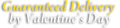 Guaranteed Shipping by Valentine's Day