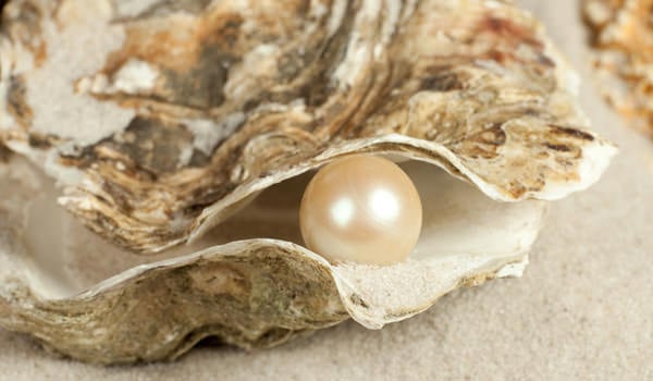 pearl in oyster