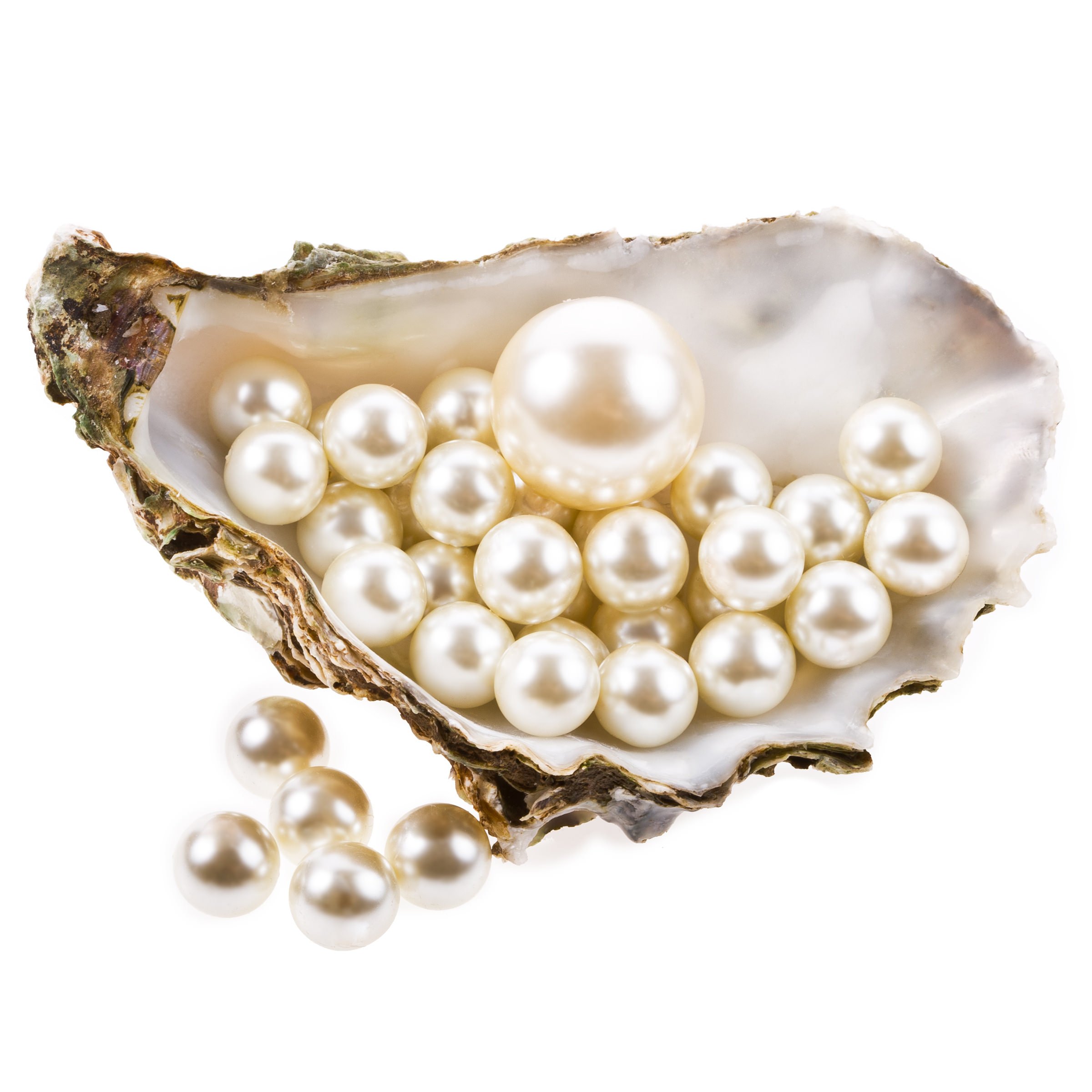 How are Pearls Harvested - TPS Blog