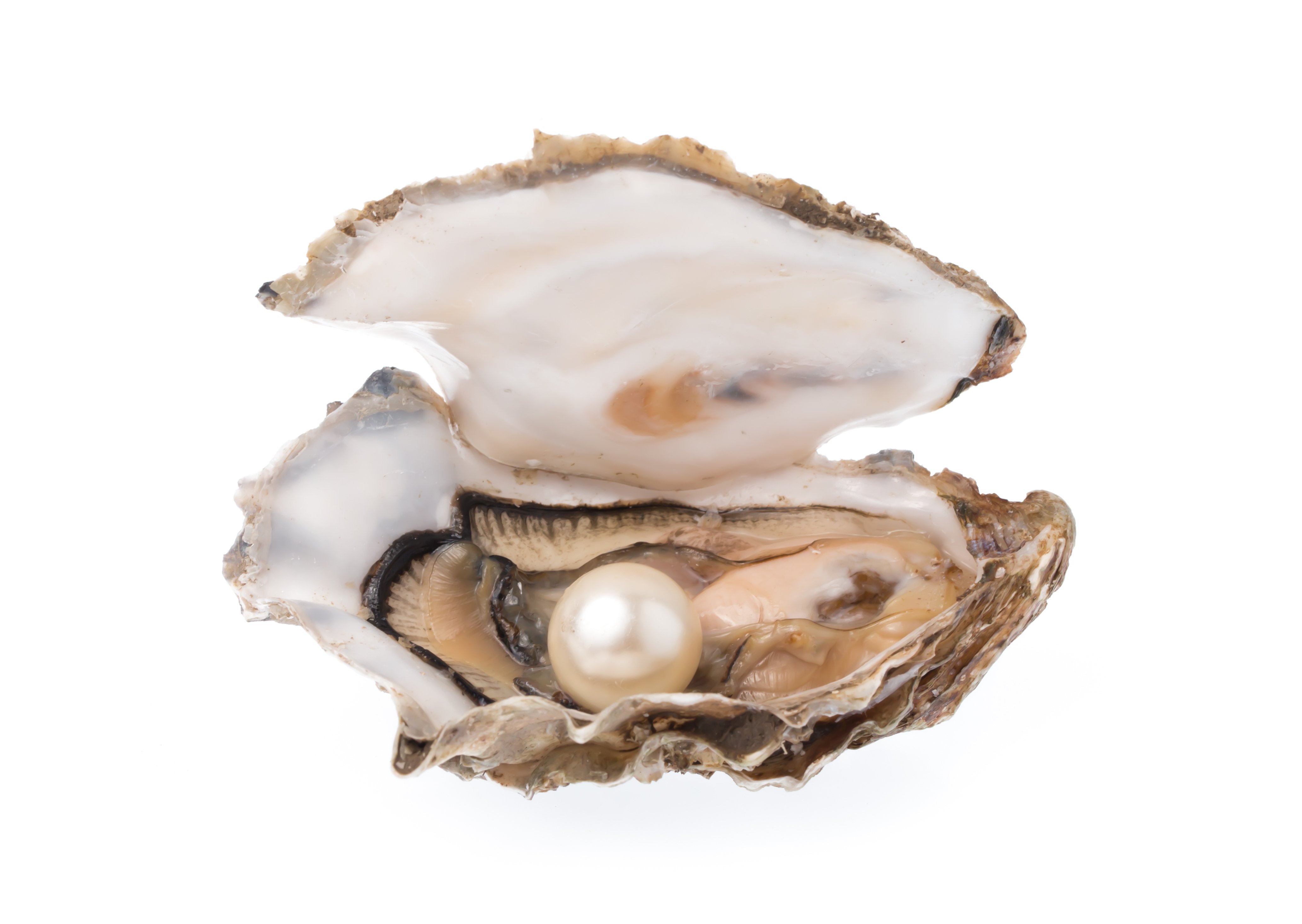 Natural Pearls: Extremely Beautiful and Rare - TPS Blog