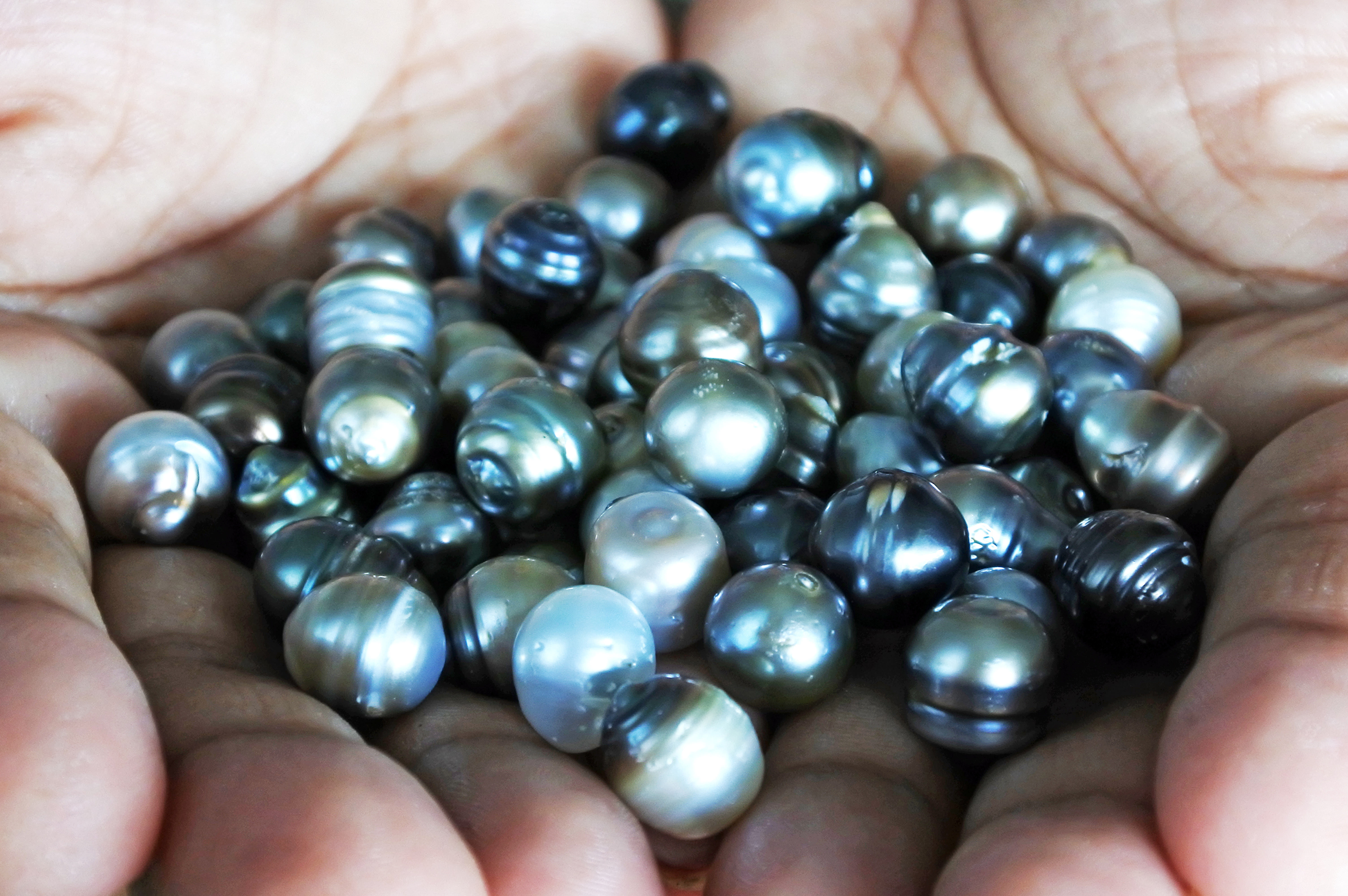 Pearl Meaning The Myths Behind These Sea Gems TPS Blog