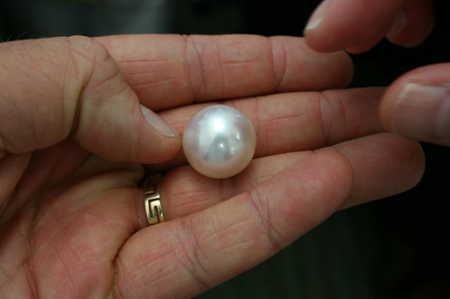 Feel the pearl