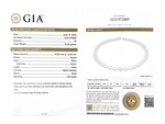10-12mm White South Sea Pearl Necklace - GIA Certified - Secondary Image
