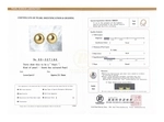 12mm Golden South Sea Loose Pair - PSL Certified - Model Image