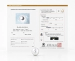 16mm White South Sea Loose Pearl - PSL Certified