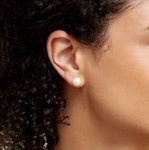 8.5-9.0mm Certified Hanadama Akoya Round Pearl Stud Earrings - Secondary Image