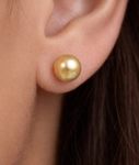 6mm Golden South Sea Round Pearl Stud Earrings - Secondary Image