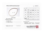 7.5-8.0mm Hanadama Pearl Necklace and Earring Set - Secondary Image