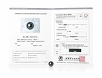 11mm Tahitian South Sea Peacock Pearl - PSL Certified