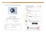 14.4mm Tahitian South Sea Pearl - PSL Certified - Model Image