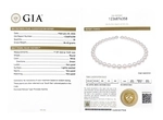 11-13mm White South Sea Pearl Necklace - GIA Certified - Model Image