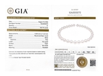 12-14mm White South Sea Round Pearl Necklace AAAA Quality - GIA Certified - Secondary Image