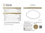 9-11mm White South Sea Pearl Necklace - GIA Certified - Secondary Image