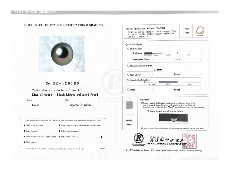 13.5mm Tahitian South Sea Peacock Pearl - PSL Certified - Model Image