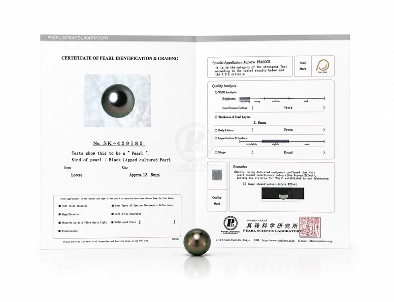 13mm Tahitian South Sea Peacock Pearl - PSL Certified