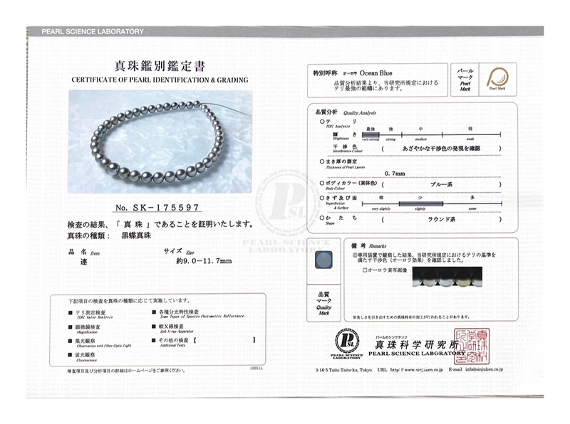 9-11.7mm Silver Tahitian South Sea Pearl Necklace - PSL Certified - Third Image