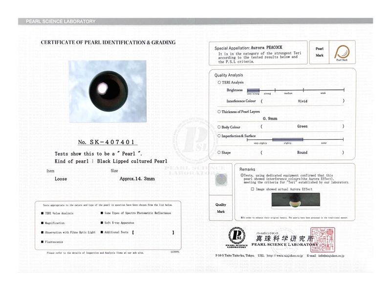 14.3mm Tahitian South Sea Peacock Pearl - PSL Certified - Model Image