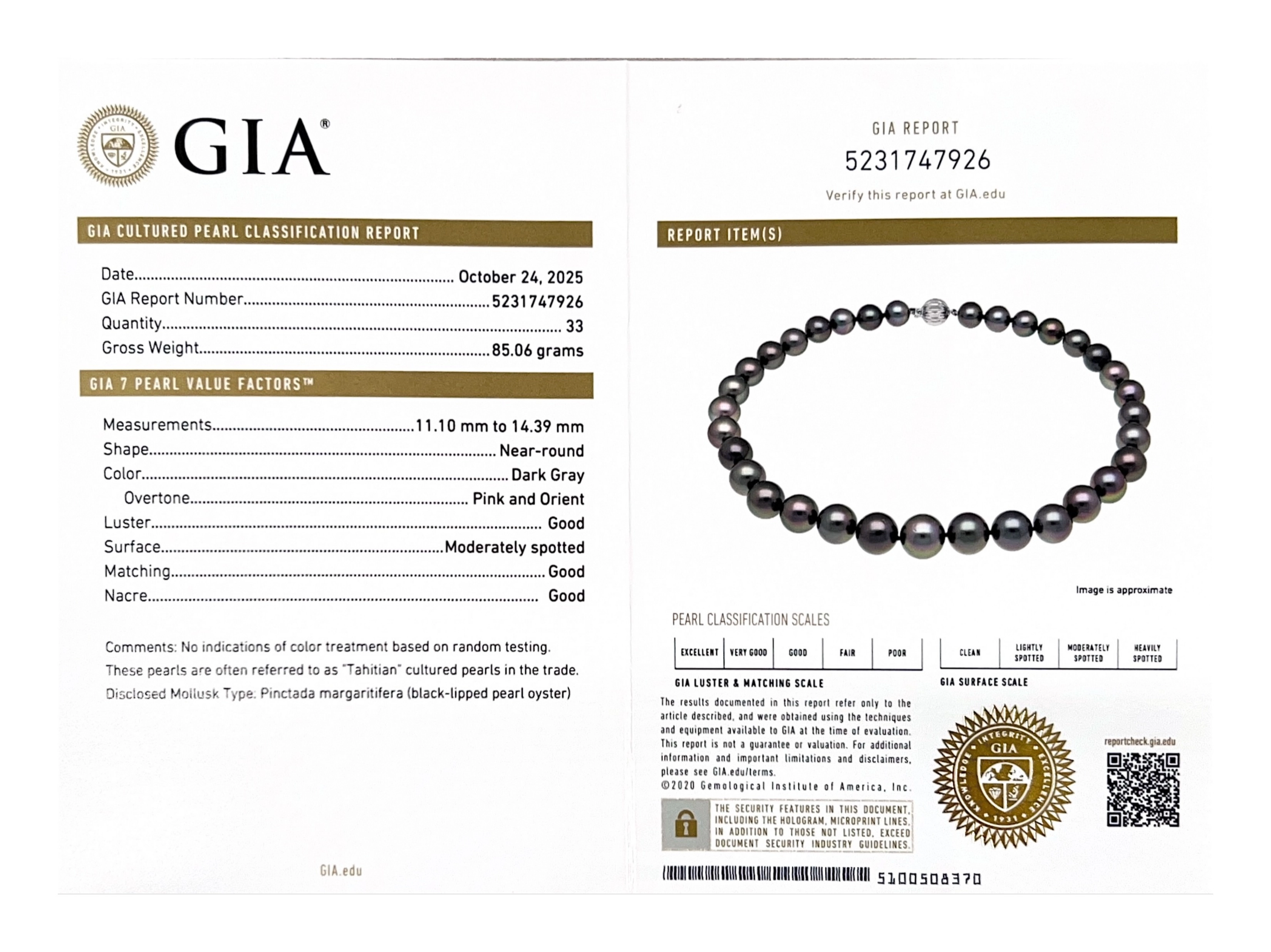 11-14mm Rare Peacock Eggplant Tahitian Round Pearl Necklace - GIA Certified