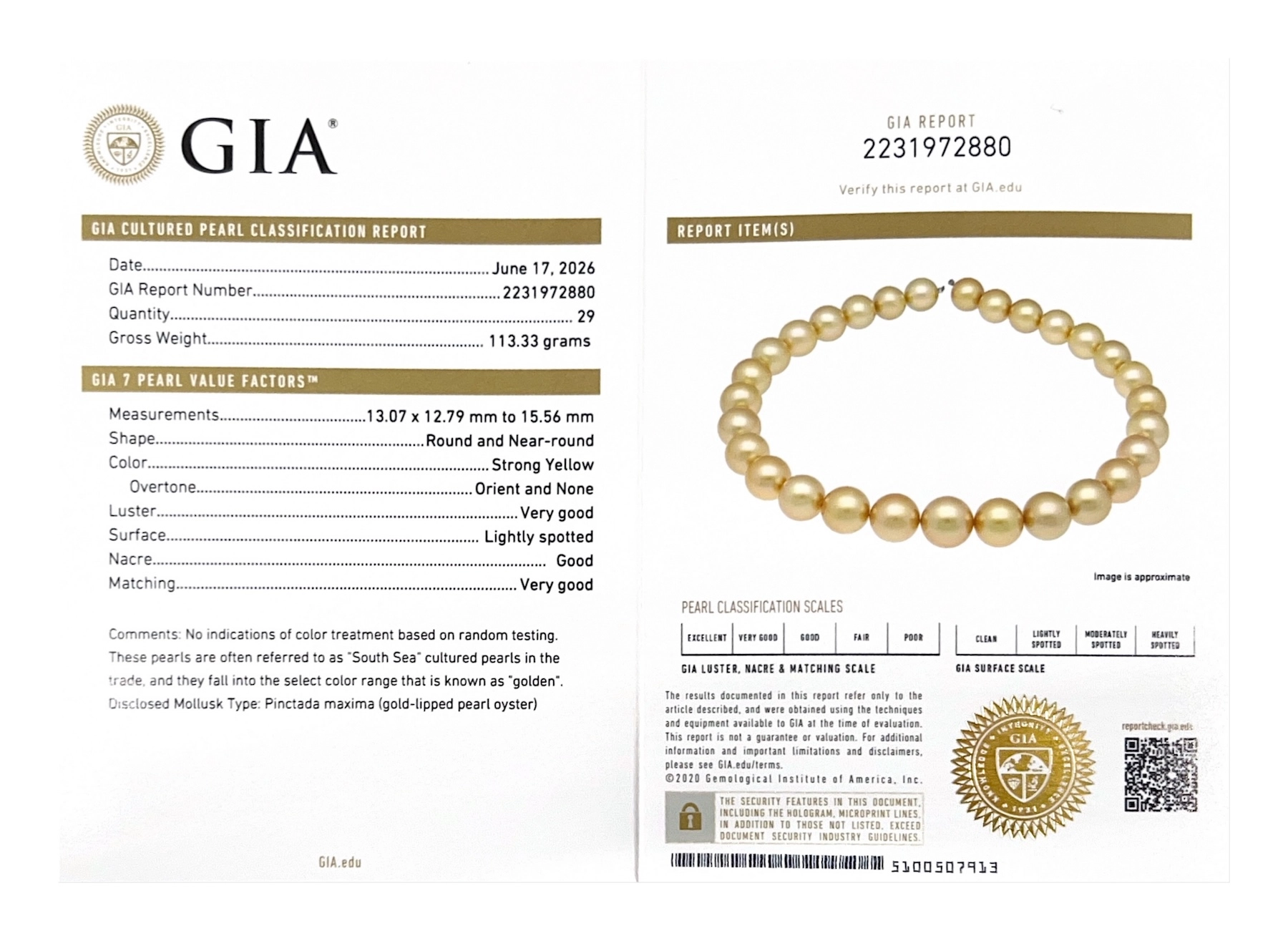 13-15mm Golden Round South Sea Pearl Necklace - GIA Certified