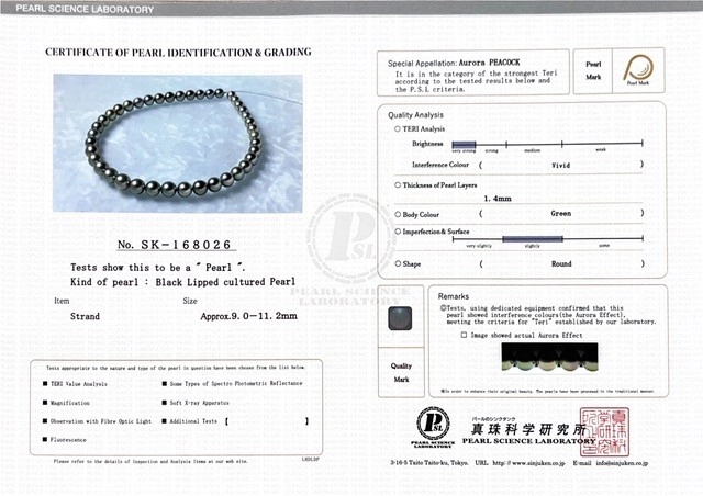 9-11.2mm Peacock Tahitian South Sea Pearl Necklace - PSL Certified