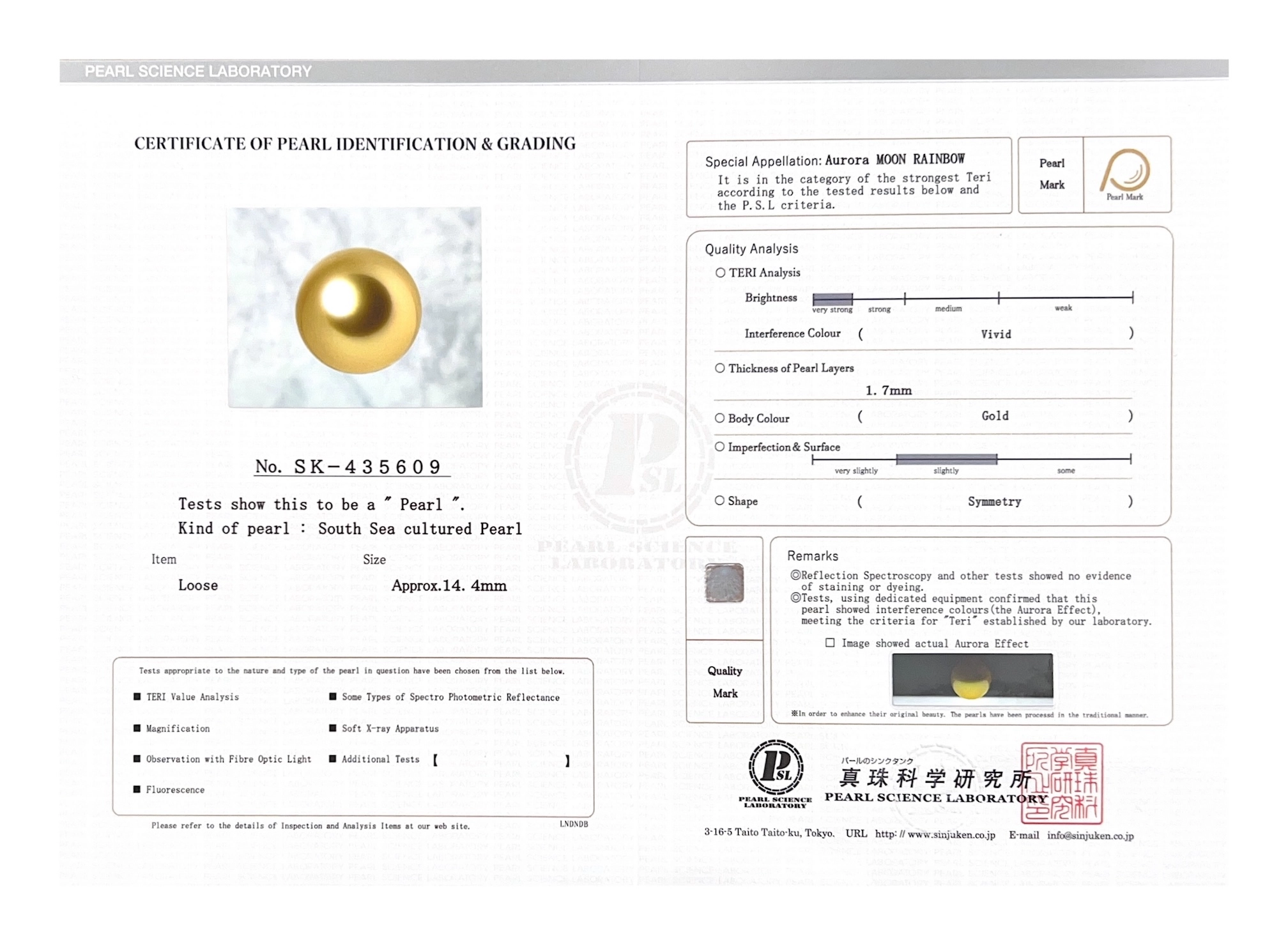 14mm Golden South Sea Loose Pearl - PSL Certified