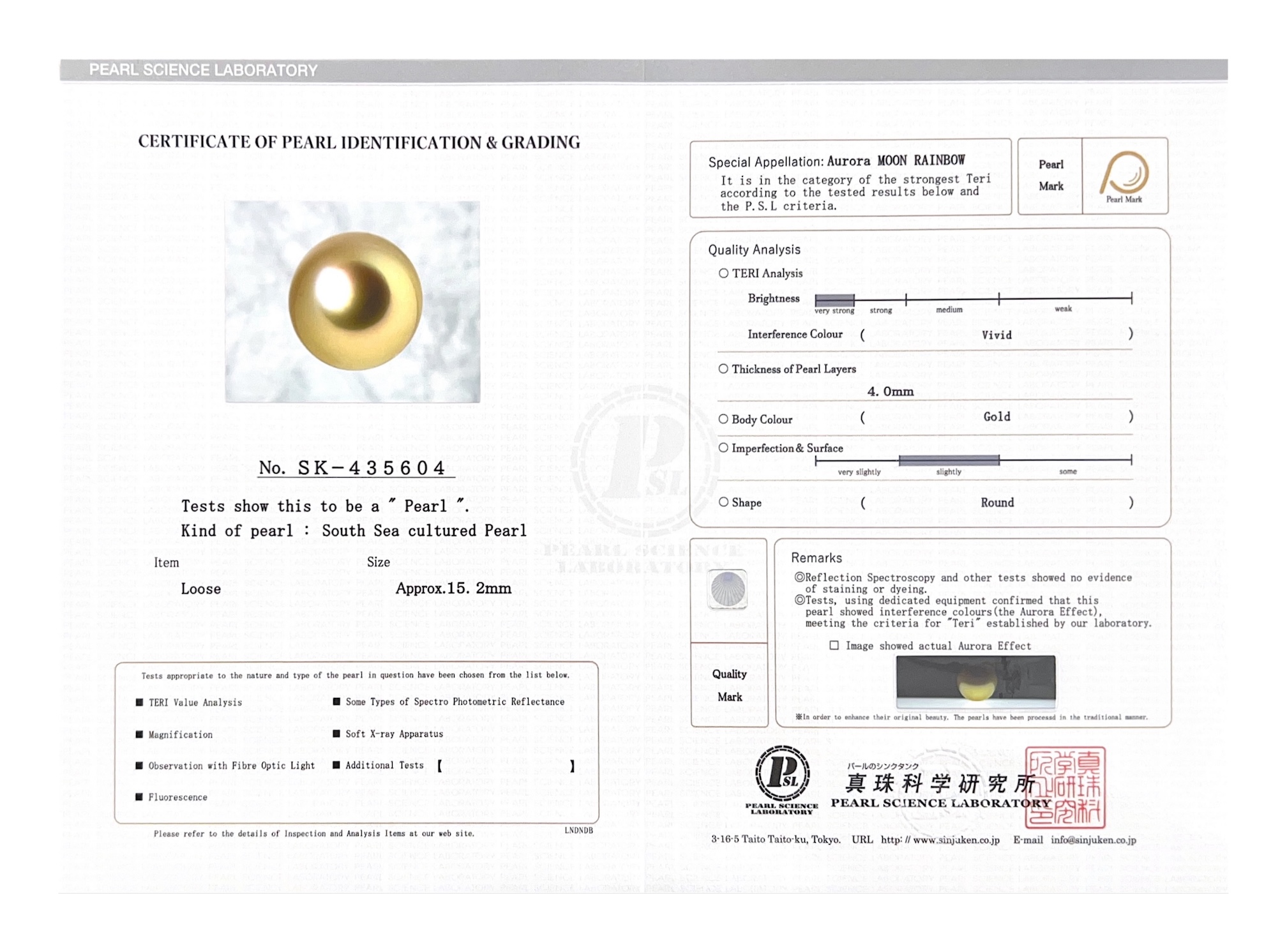 15mm Golden South Sea Loose Pearl - PSL Certified - Model Image