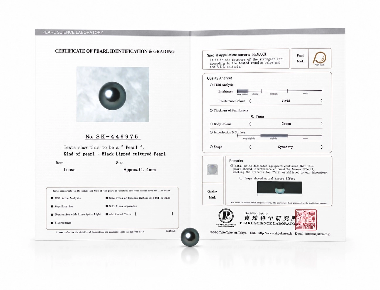 11mm Tahitian South Sea Peacock Pearl - PSL Certified