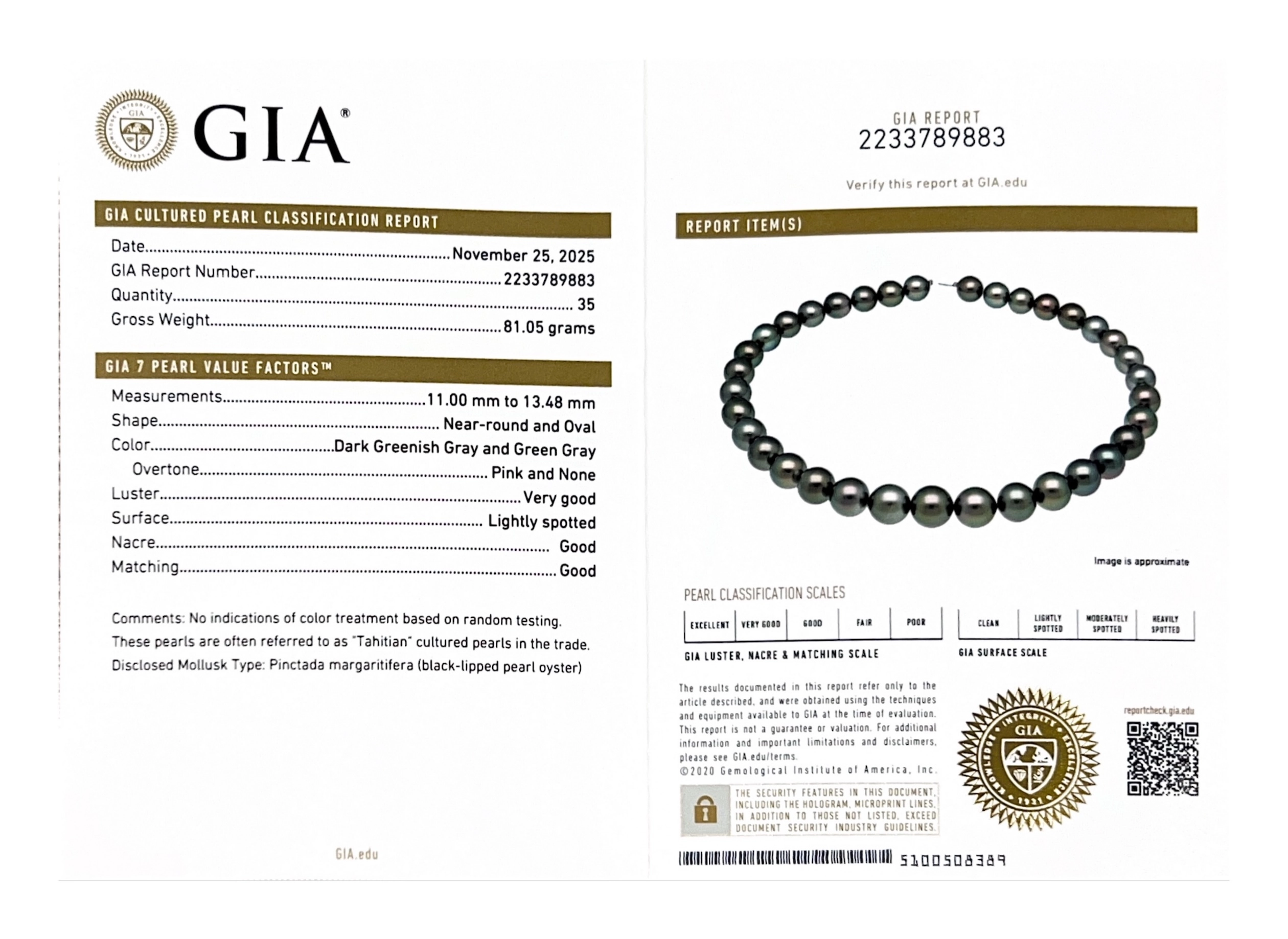 11-13mm Rare AAAA Quality Green Tahitian Round Pearl Necklace - GIA Certified