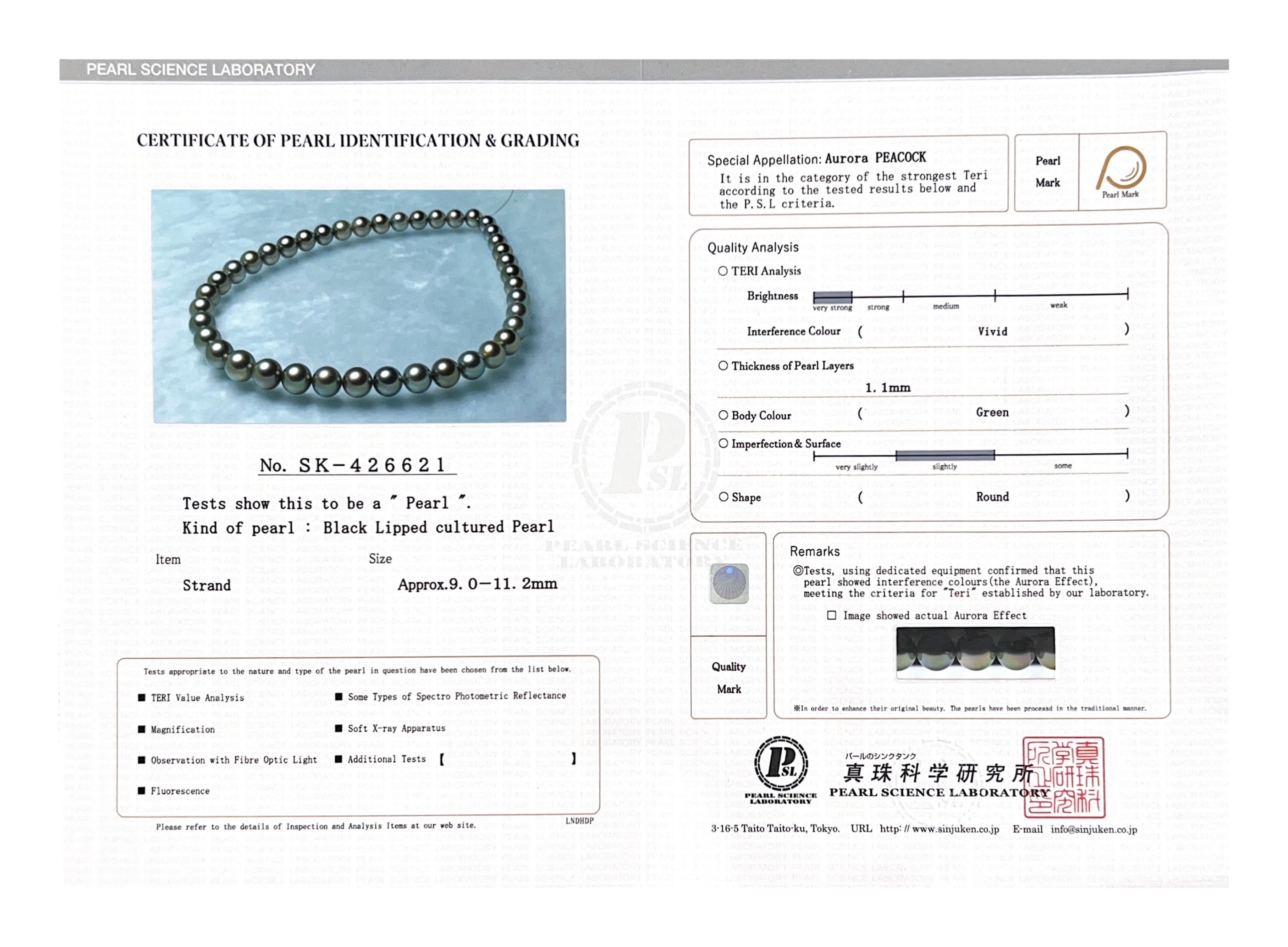 9-11.2mm Peacock Tahitian South Sea Pearl Necklace - PSL Certified - Secondary Image