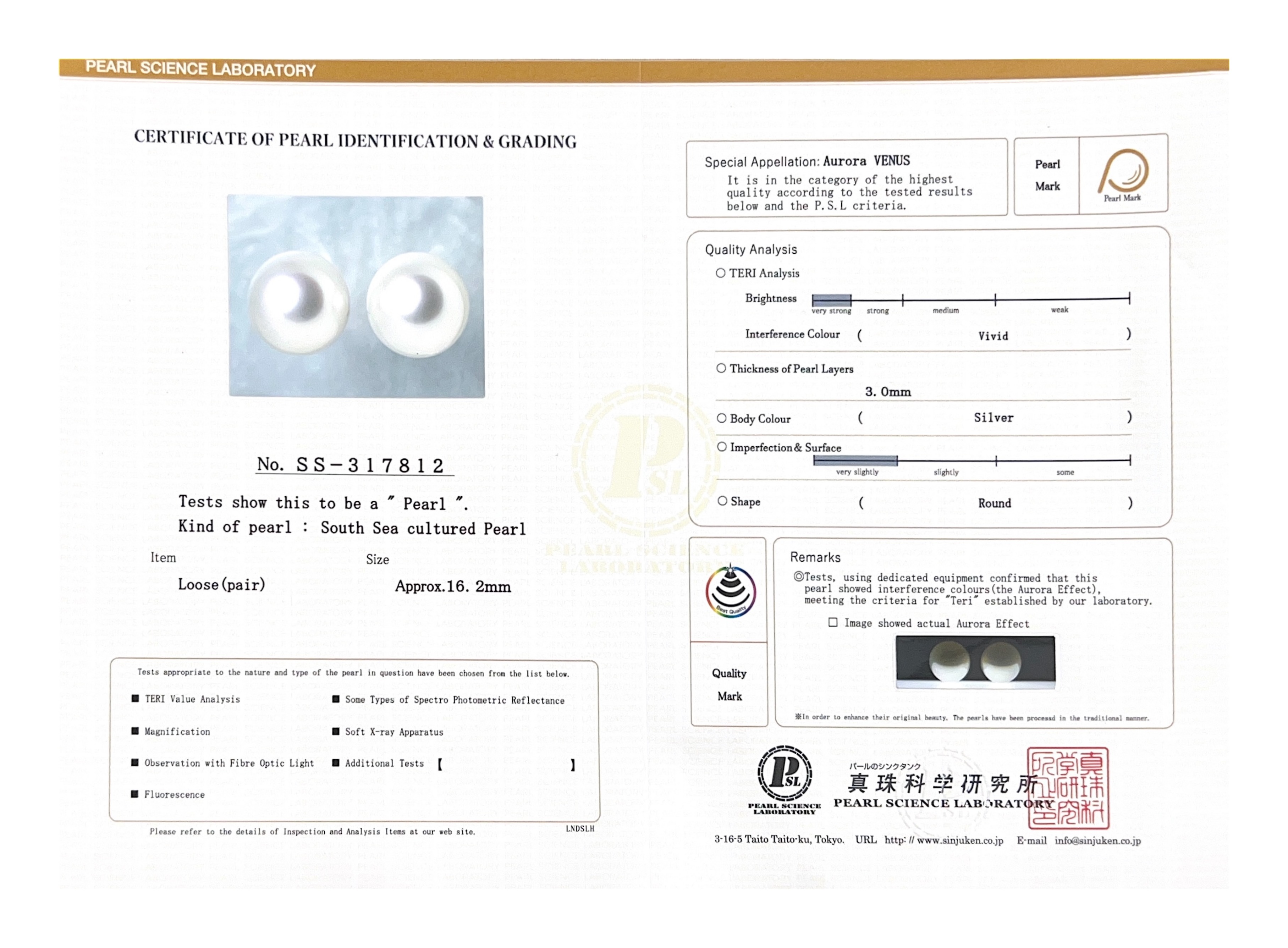 16mm Aurora Venus White South Sea Loose Pair - Model Image
